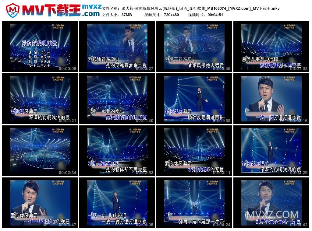 张大伟-爱你就像风剪云(现场版)_国语_流行歌曲_MB103074